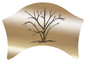 DABAN-580-GD Birch Tree Gold
